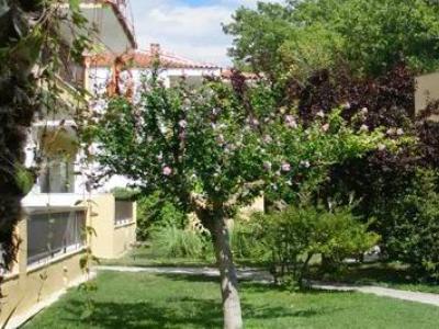 Ioli Apartments Skala Fourkas Exterior photo